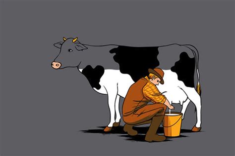 Chocolate Milk Comes from Brown Cows | Andrew Bellay