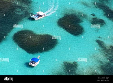 Aerial view of the Heart reef Stock Photo - Alamy