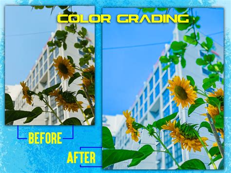 Color Grading and Correcting on Behance