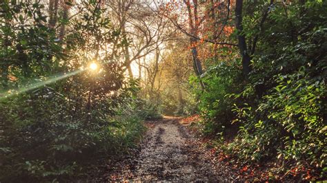 🔥 [50+] Trail Running Wallpapers | WallpaperSafari