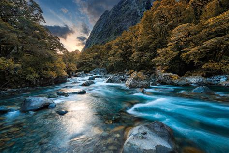 Fiordland National Park, New Zealand; Loner and Pedestrians, Must Come ...