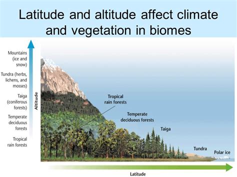 temperate seasonal forest climate - Utility Gen