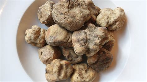 Welcome the Arrival of White Truffles - The New York Times