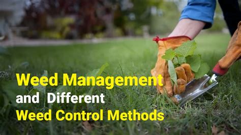 Methods of Weed Management and Weed Control in India