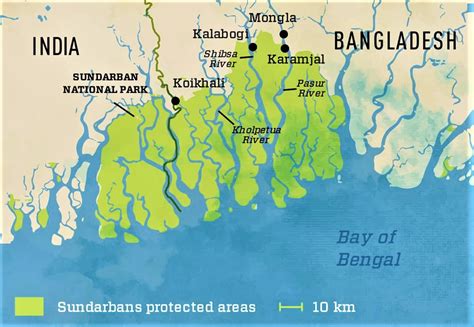 Sundarban, largest mangrove forest - History and Travel-world heritage BD