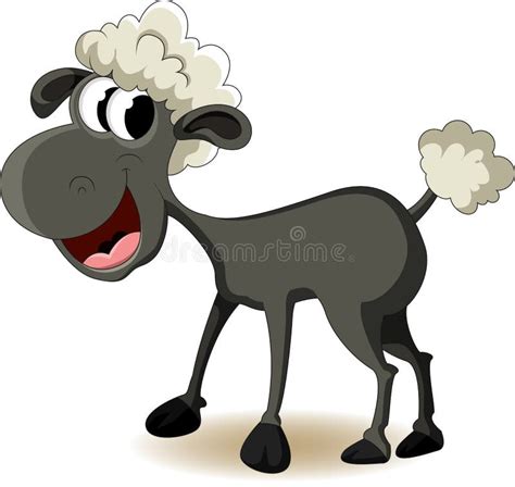 Funny sheep cartoon stock illustration. Illustration of jumbuck - 28911438