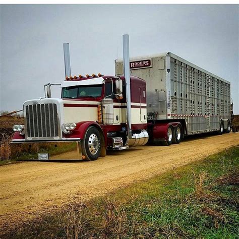 Peterbilt custom 379 bull hauler | Diesel trucks, Trucks, Tractor ...