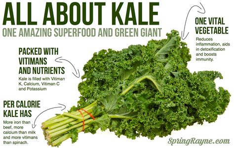 Kale is one of the best #superfoods out there! See why it's one of my ...