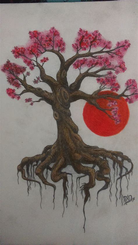 Cherry Blossom Tree colored pencil 8x11 | Tree drawings pencil, Cherry ...