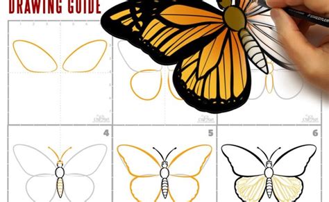 How To Draw A Butterfly Easy Step By Step Drawing Tutorial Easy ...