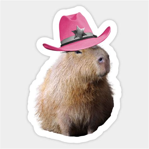 Capybara Wearing Pink Cowboy Hat - Capybara Wearing Pink Cowboy Hat ...