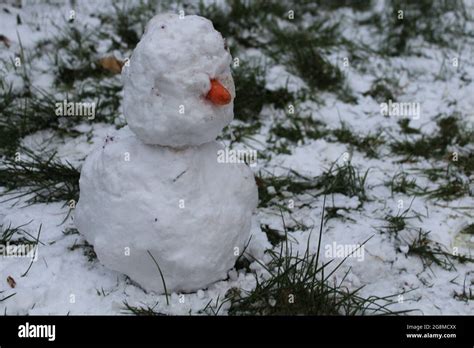 Snowman with carrot for nose Stock Photo - Alamy