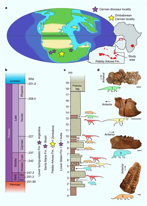 Climatic Barriers Controlled Dispersal of Earliest Dinosaurs, New ...