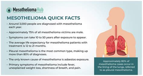 How Long Does Mesothelioma Take to Kill in 2023/2024 Stage 1 - 4