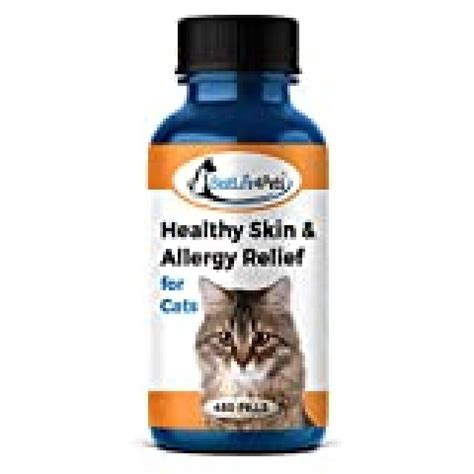 BestLife4Pets Healthy Skin and Allergy Relief for Cats - All-Natural ...