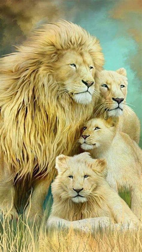 Lion Family Wallpapers - Wallpaper Cave