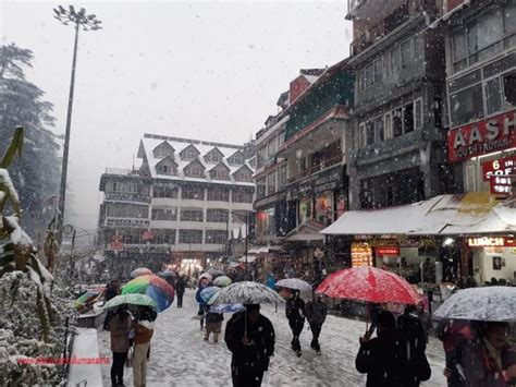 Live: Snowfall Status at Rohtang Pass and Manali in 2024 - Discover ...