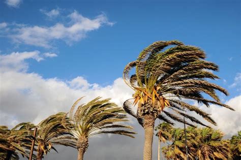 Santa Ana Winds Forecast Throughout Southland This Weekend | Edison ...