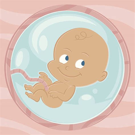 Royalty Free Baby In Womb Clip Art, Vector Images & Illustrations - iStock