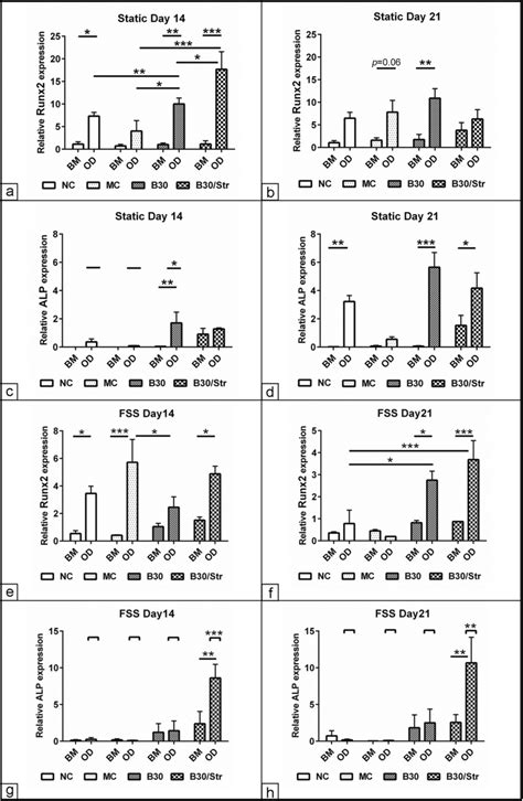 Evaluation of the osteogenic markers expression. MSCs were cultivated ...