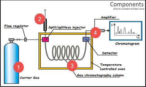 Pptx Gas Chromatography Gas Liquid Chromatography Both Gas | Hot Sex ...