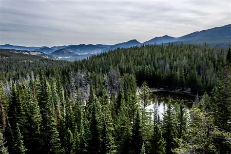 10 Easy to Difficult Estes Park Day Hikes