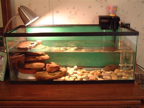 12 best ideas about our 120 gallon turtle tank on Pinterest | Be simple ...