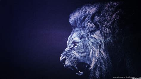 Lion Wallpapers 656 Backgrounds Animal Desktop Background