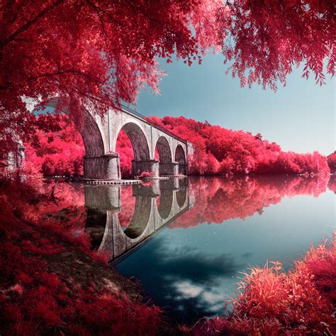 LIFE IN ANOTHER LIGHT INFRARED | Photo Contest Insider