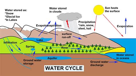 6th Grade Water Cycle Diagram Forms 5 2019: Water Cycle Revi