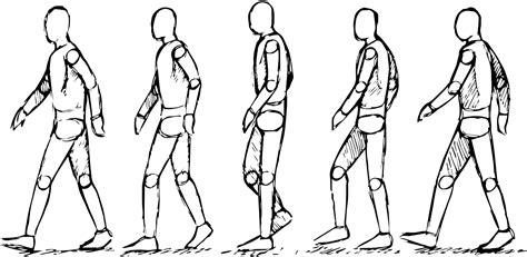 How To Draw A Walk Cycle - Soupcrazy1