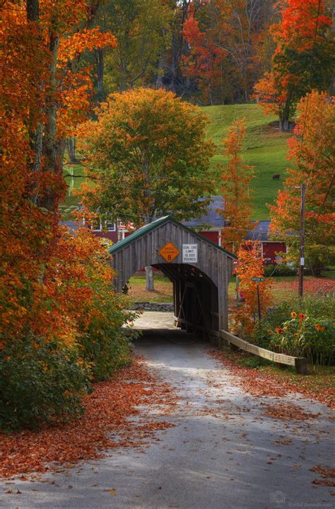 Classic Vermont Fall Foliage Tour (All DAY) – Local Captures