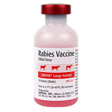 Rabies Vaccine - 1pc - WordPress