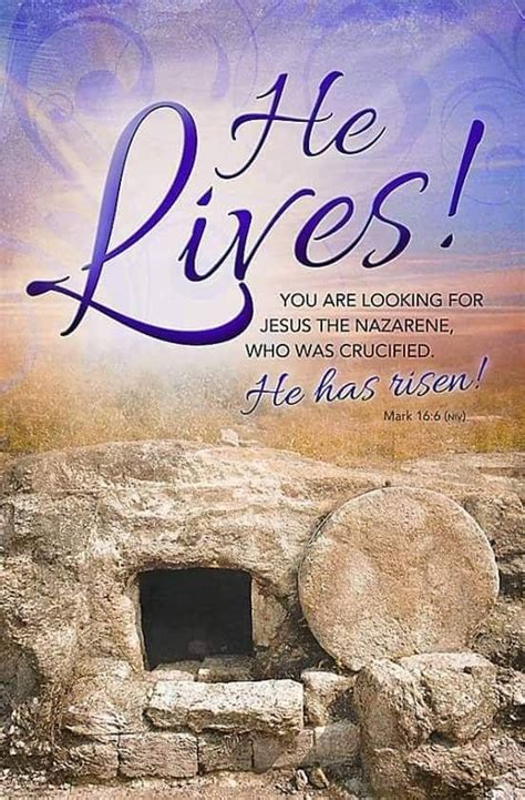 Pin by Dragomir Madalina on God | Jesus is alive, Resurrection day ...