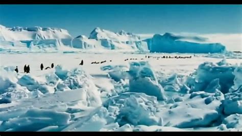 March Of The Penguins Trailer [HD] - YouTube