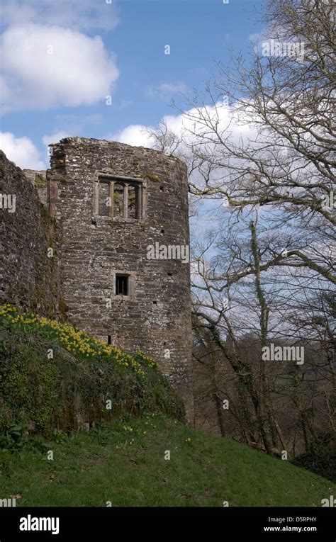 Berry Pomeroy Castle, near the village of Berry Pomeroy, South Devon ...