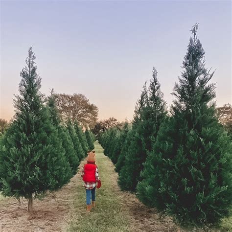 Location — Old Time Christmas Tree Farm