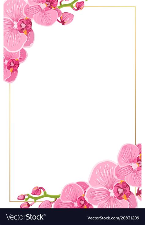 orchid border clipart 10 free Cliparts | Download images on Clipground 2024