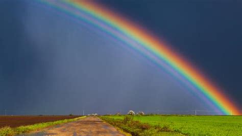 What Is a Rainbow?