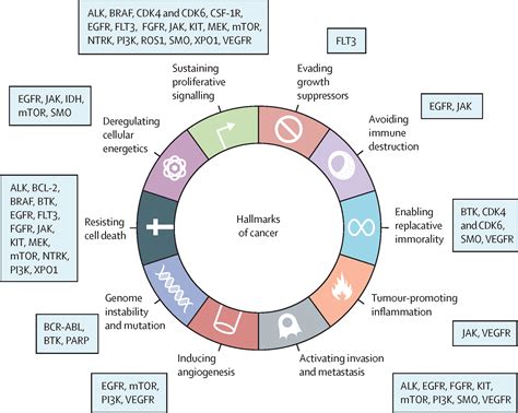 Small molecules, big impact: 20 years of targeted therapy in oncology ...