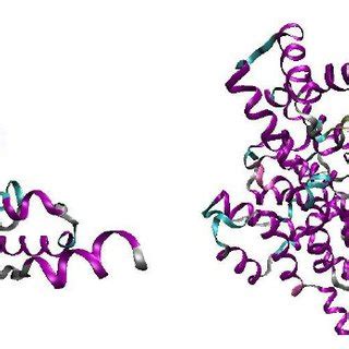 7: Citrate synthase open and closed conformations | Download Scientific ...