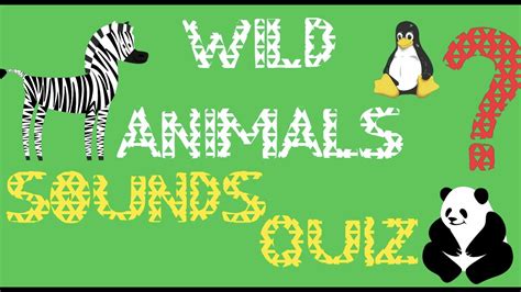 Wild animals sounds quiz! - YouTube