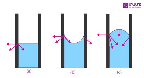 Capillary Action - Meaning, Definition, Examples, Adhesion, Cohesion