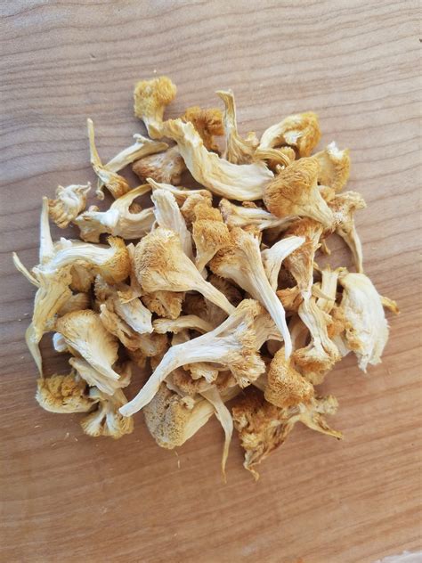 Lion’s Mane Mushroom 4oz – Adam’s Mushrooms