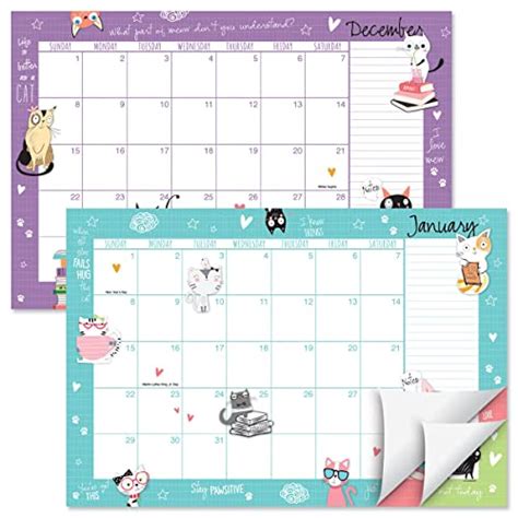 2024 Cat Calendar - 2024 Calendar Printable