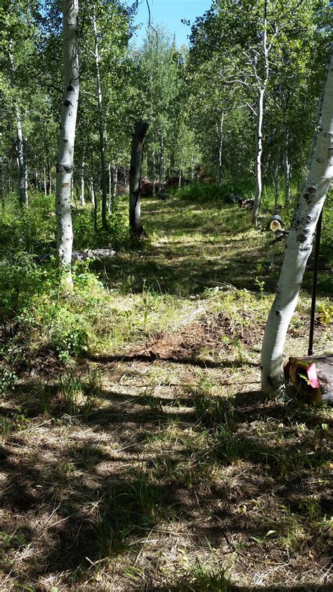 Hole 7 • Magic Mountain Ski Resort (Hansen, ID) | Disc Golf Courses ...