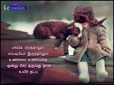 Dppicture: Feeling Natpu Kavithai Friendship Quotes In Tamil