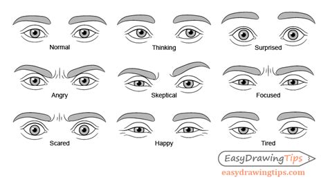 How to Draw Eye Expressions Step by Step - EasyDrawingTips