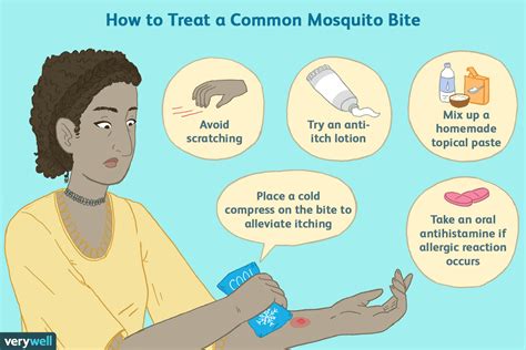 Infected Mosquito Bite: Symptoms, Treatment, Prevention