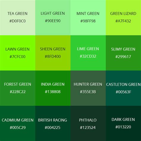 Meaning of the Color Green: Symbolism, Common Uses, & More